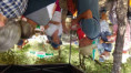 /album/ee-juin-2025-rando-repas-a-st-hippolyte/f-123-jpg/